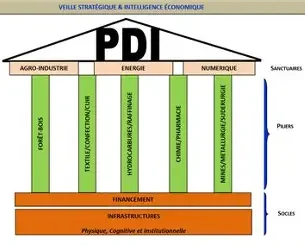 Étude stratégique de base en vue de la mise en place du Plan Directeur d’Industrialisation du Cameroun